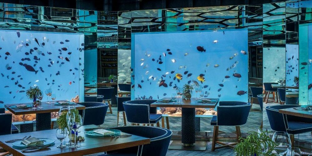 05 Underwater Restaurants in the Maldives & What Guests Say About It 05 Underwater Restaurants in the Maldives & What Guests Say About It