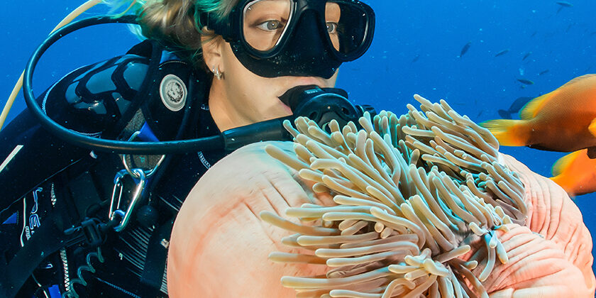 Alifu Dhaalu Atoll – Atolls Page Photos 840×840 Alifu Dhaalu Atoll - Atolls Page