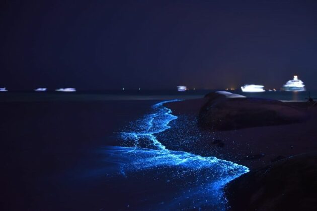 Glowing Beaches at Dhigufaru Island Resort in Maldives