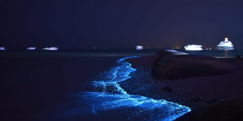 Dhigufaru Maldives Glowing Beaches at Dhigufaru Island Resort in Maldives